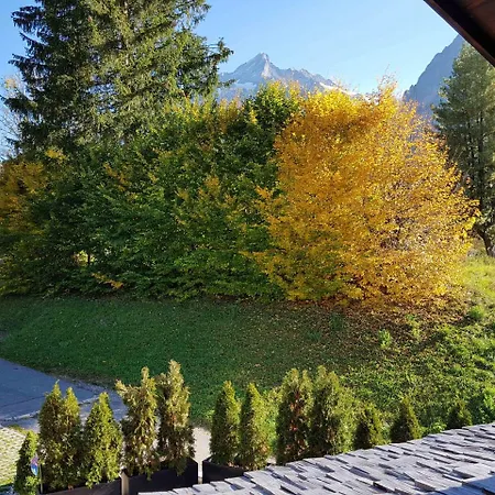 Guggerzyt Grindelwald